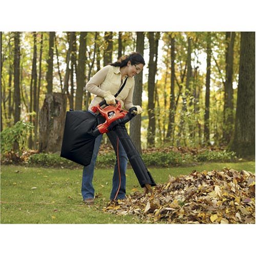 leaf blower with vacuum attachment